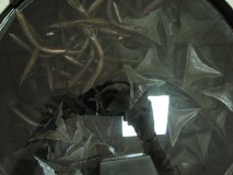 IMG_3865